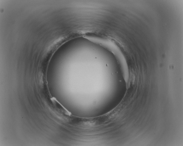 X0000076430692200610202245