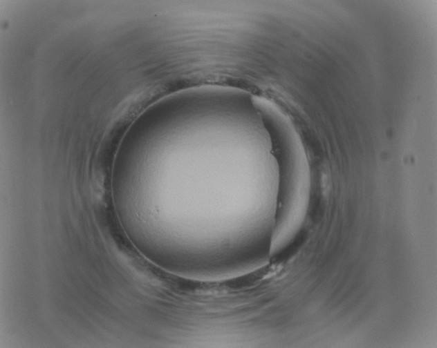 X0000076430693200610202245