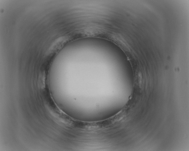 X0000076430694200610202245