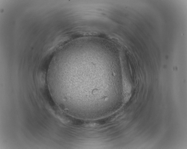 X0000076430695200610202245