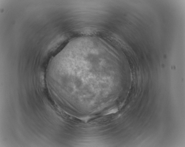 X0000076430696200610202245