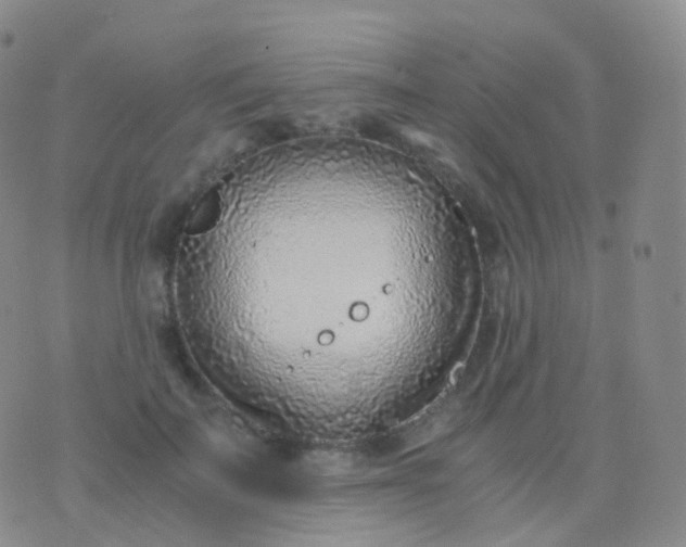 X0000076430699200610202245