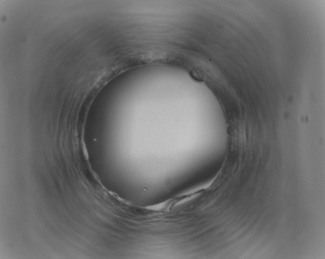 X0000076430700200610202245