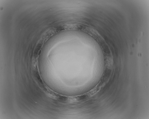 X0000076430701200610202245