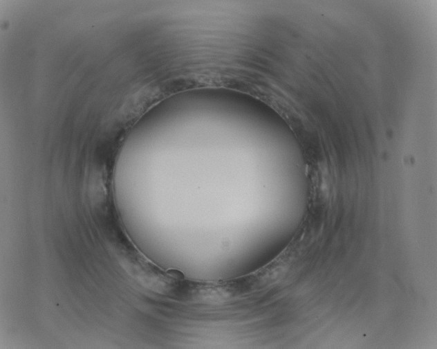 X0000076430702200610202245