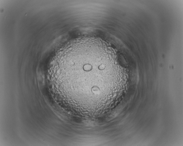 X0000076430703200610202245