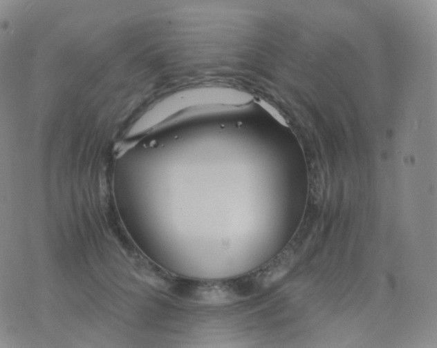 X0000076430704200610202245