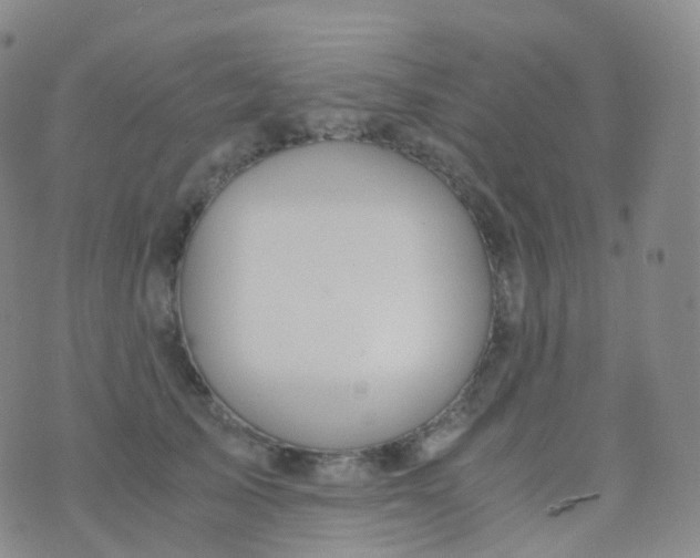 X0000076430705200610202245