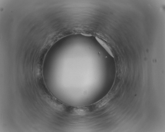 X0000076430706200610202245