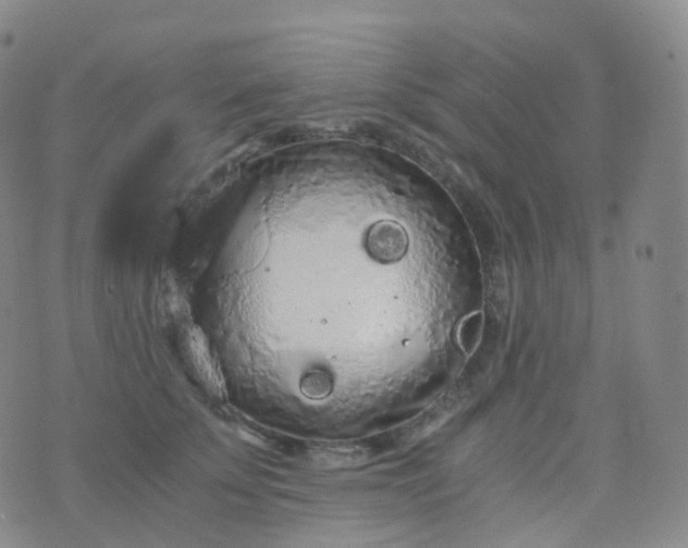 X0000076430707200610202245