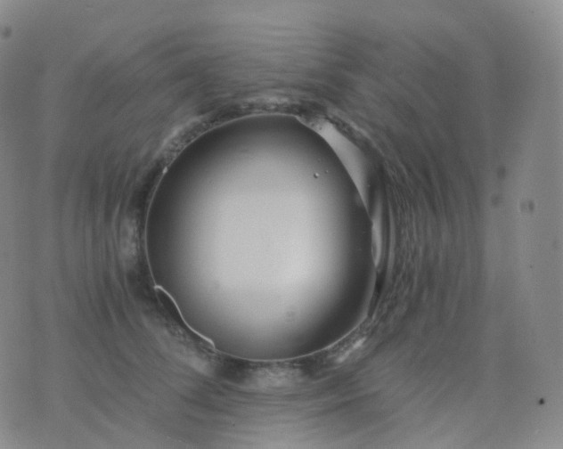 X0000076430708200610202245