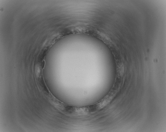 X0000076430709200610202245