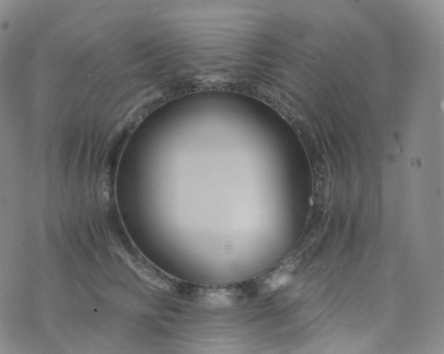 X0000076430710200610202245