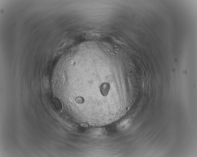 X0000076430711200610202245