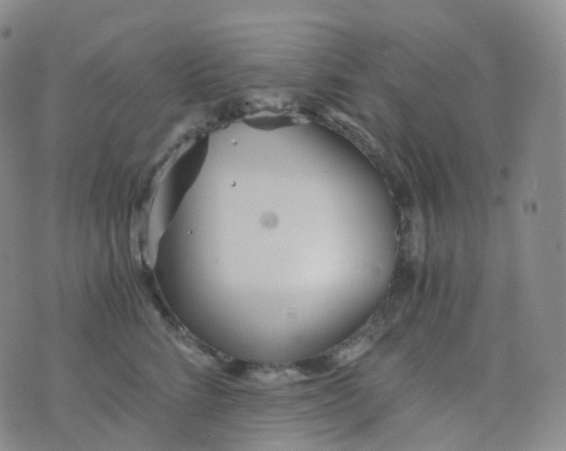 X0000076430712200610202245