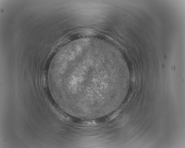 X0000076430715200610202245