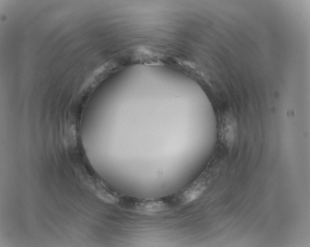 X0000076430716200610202245