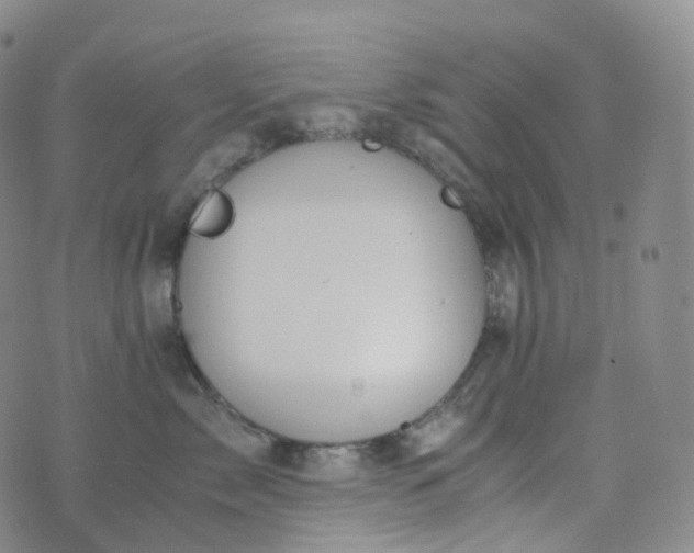 X0000076430717200610202245