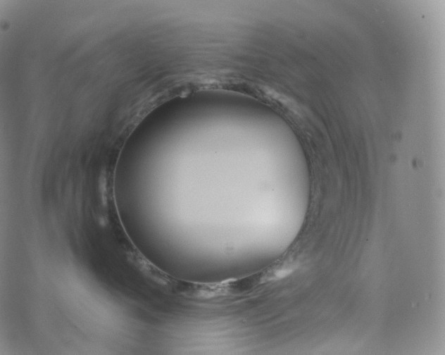 X0000076430720200610202245