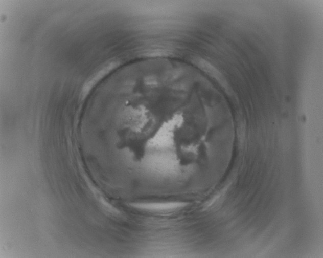 X0000076430721200610202244