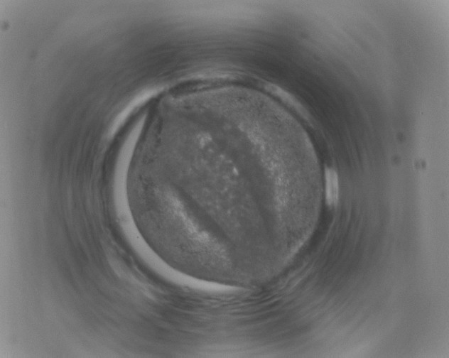 X0000076430723200610202244