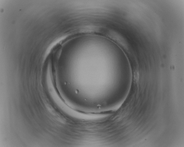 X0000076430724200610202244