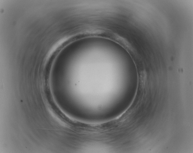 X0000076430726200610202244