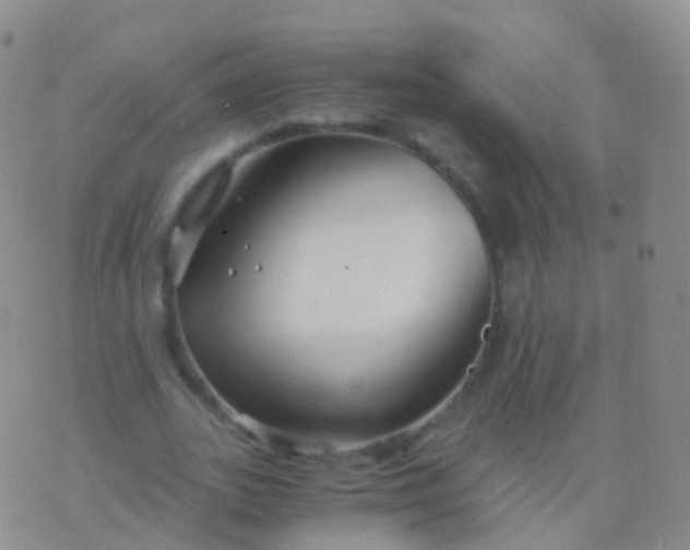 X0000076430727200610202244