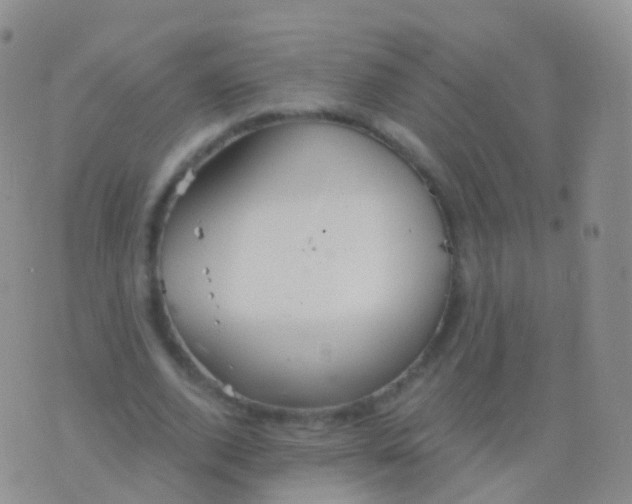 X0000076430728200610202244