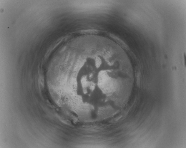 X0000076430729200610202244