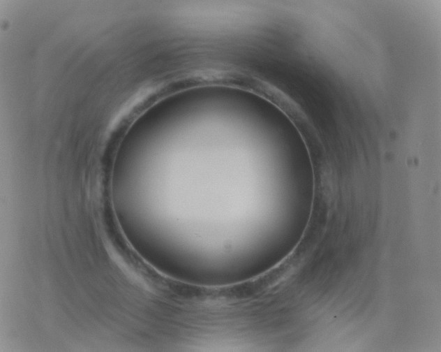 X0000076430730200610202244