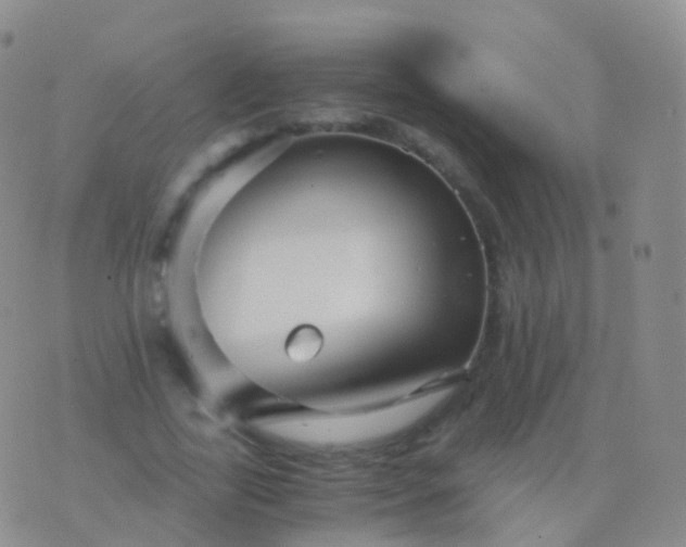 X0000076430731200610202244