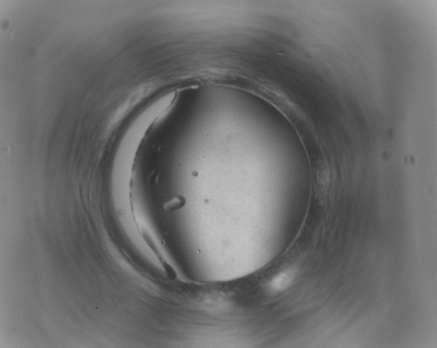 X0000076430734200610202244