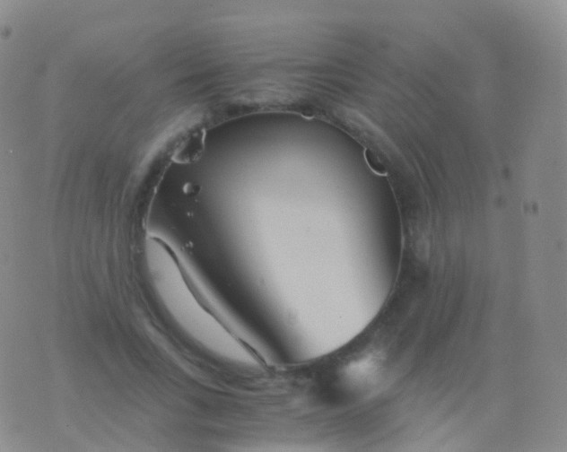 X0000076430735200610202244