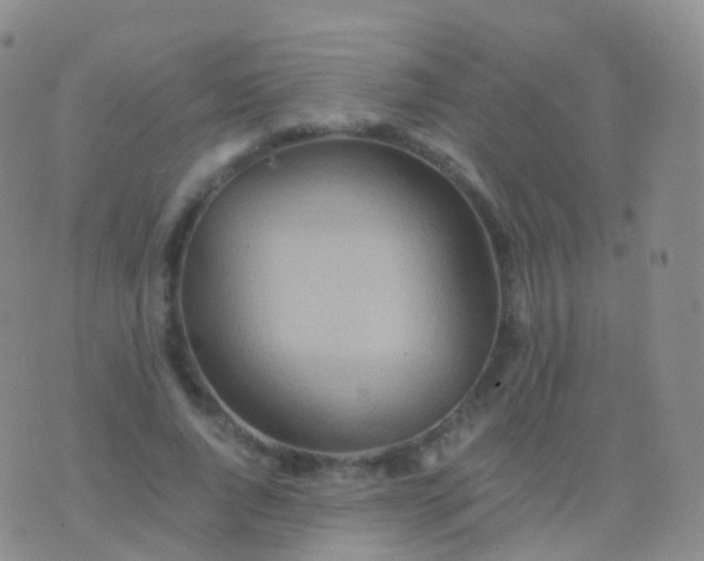 X0000076430736200610202244