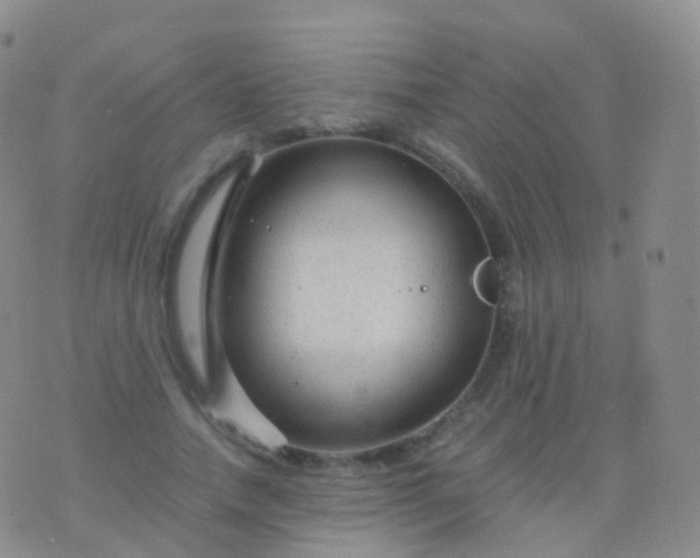 X0000076430738200610202244