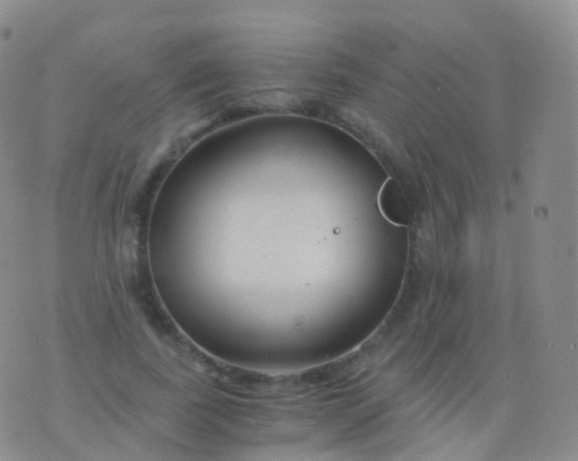 X0000076430739200610202244