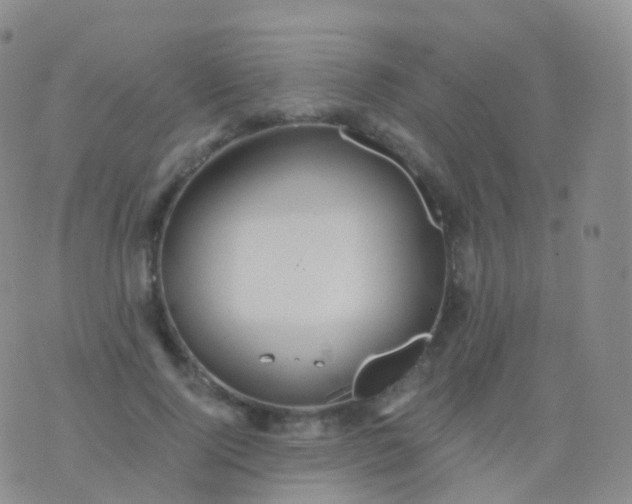 X0000076430740200610202244