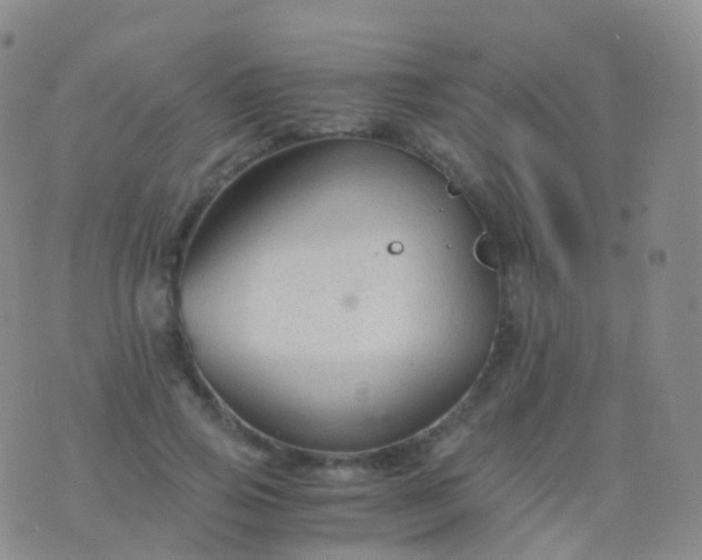 X0000076430741200610202244