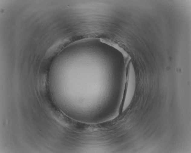 X0000076430742200610202244