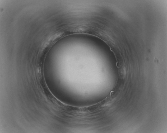 X0000076430743200610202244