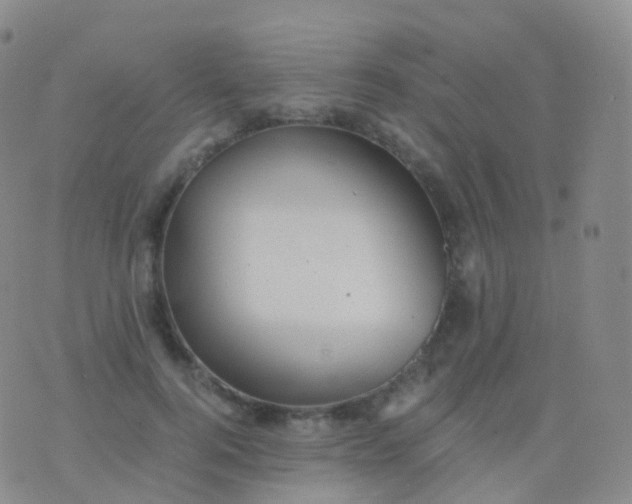 X0000076430744200610202244