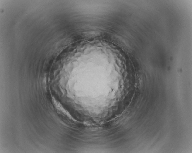 X0000076430745200610202244