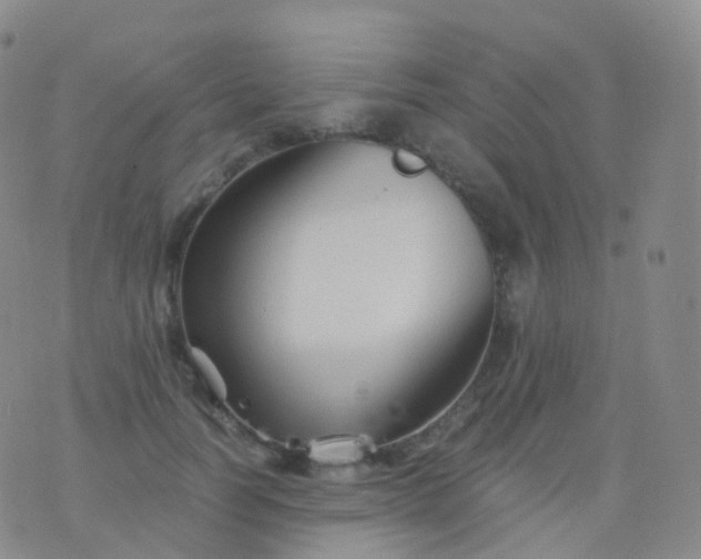 X0000076430746200610202244