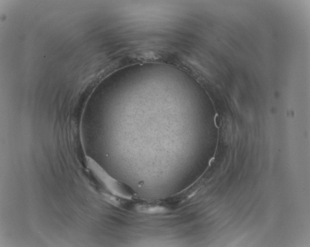 X0000076430747200610202244