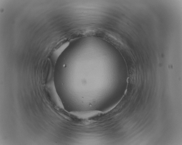 X0000076430748200610202244