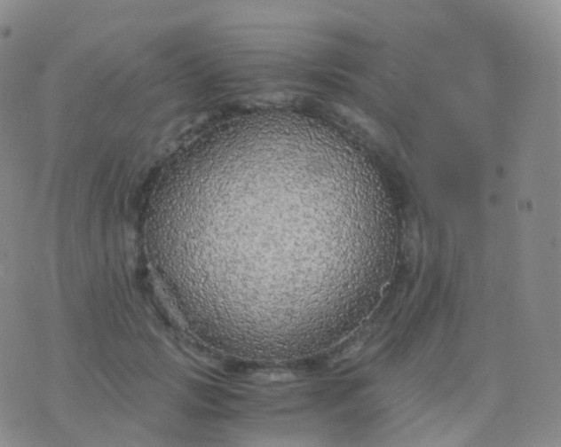 X0000076430749200610202244