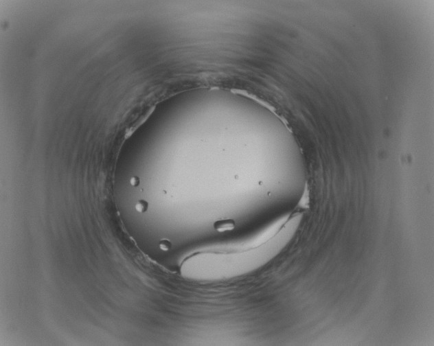 X0000076430750200610202244