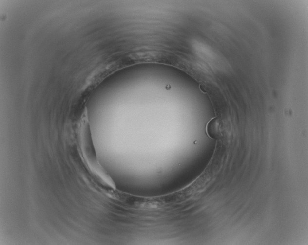 X0000076430751200610202244