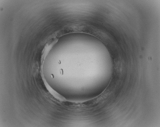 X0000076430752200610202244